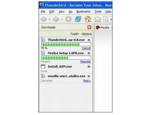 Download Manager Tweak Extension for Windows - Download it from Habererciyes for free
